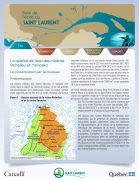 La qualité de l'eau des rivières Richelieu et Yamaska : la contamination par les toxiques