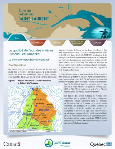 La qualité de l’eau des rivières Richelieu et Yamaska : la contamination par les toxiques
