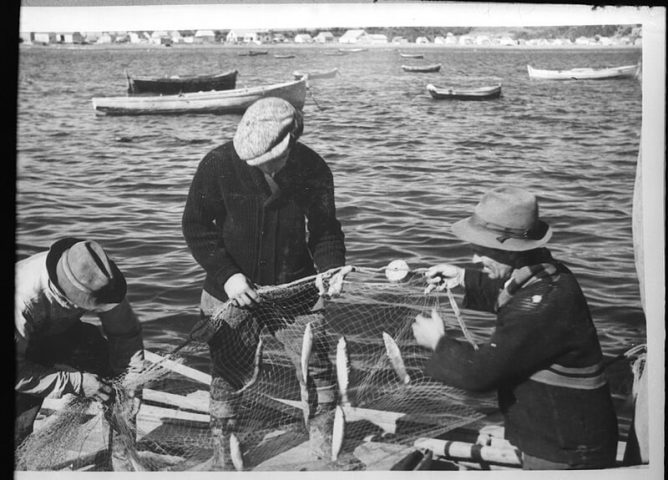 Scène de pêche en Gaspésie, le hareng se prend au filet